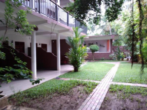 Jungle Look safari House